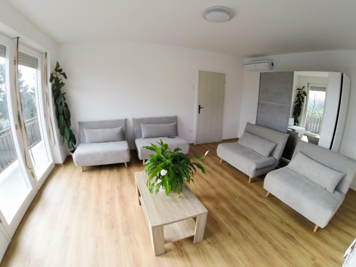 Apartments Andrej - Poetovio & Ptuj Extérieur photo